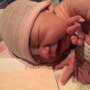 Meet your Posher, Rose