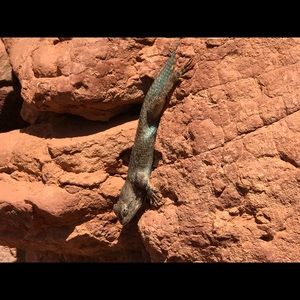 Meet your Posher, Becky