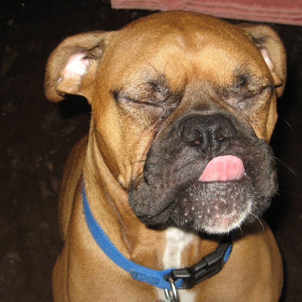 Meet your Posher, Karen