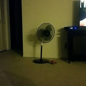 Meet your Posher, Scott