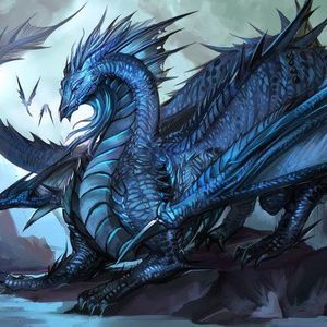 Meet your Posher, Tomas salazar