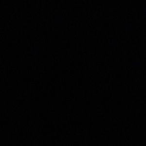 Meet your Posher, Tatum