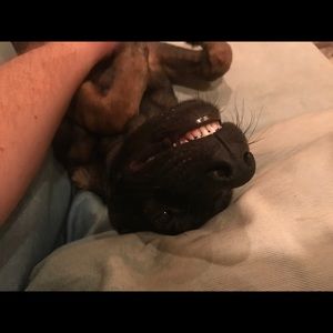 Meet your Posher, Matt