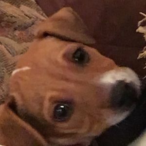 Meet your Posher, Kevin