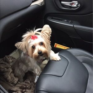 Meet your Posher, Cristiane