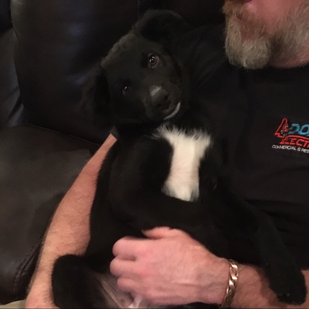 Meet your Posher, Cassadie