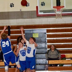 Meet your Posher, Beau