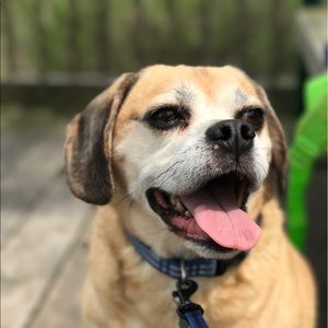 Meet your Posher, Jason