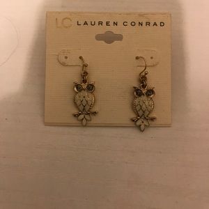 Never been worn Owl earrings