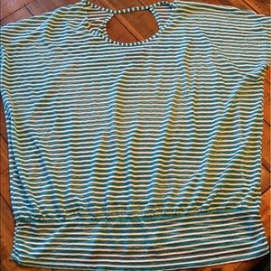 Lane Bryant sheer summer top 18/20