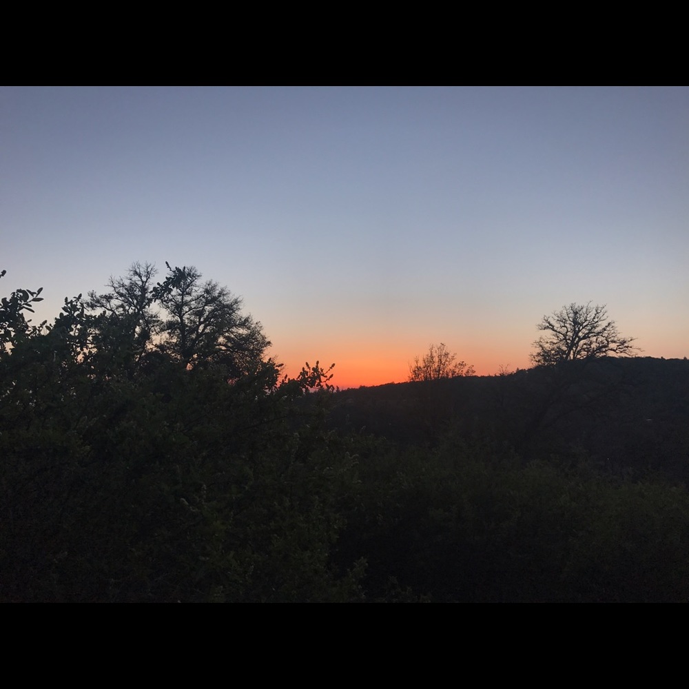 Meet your Posher, Myla