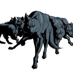 Meet your Posher, Brad