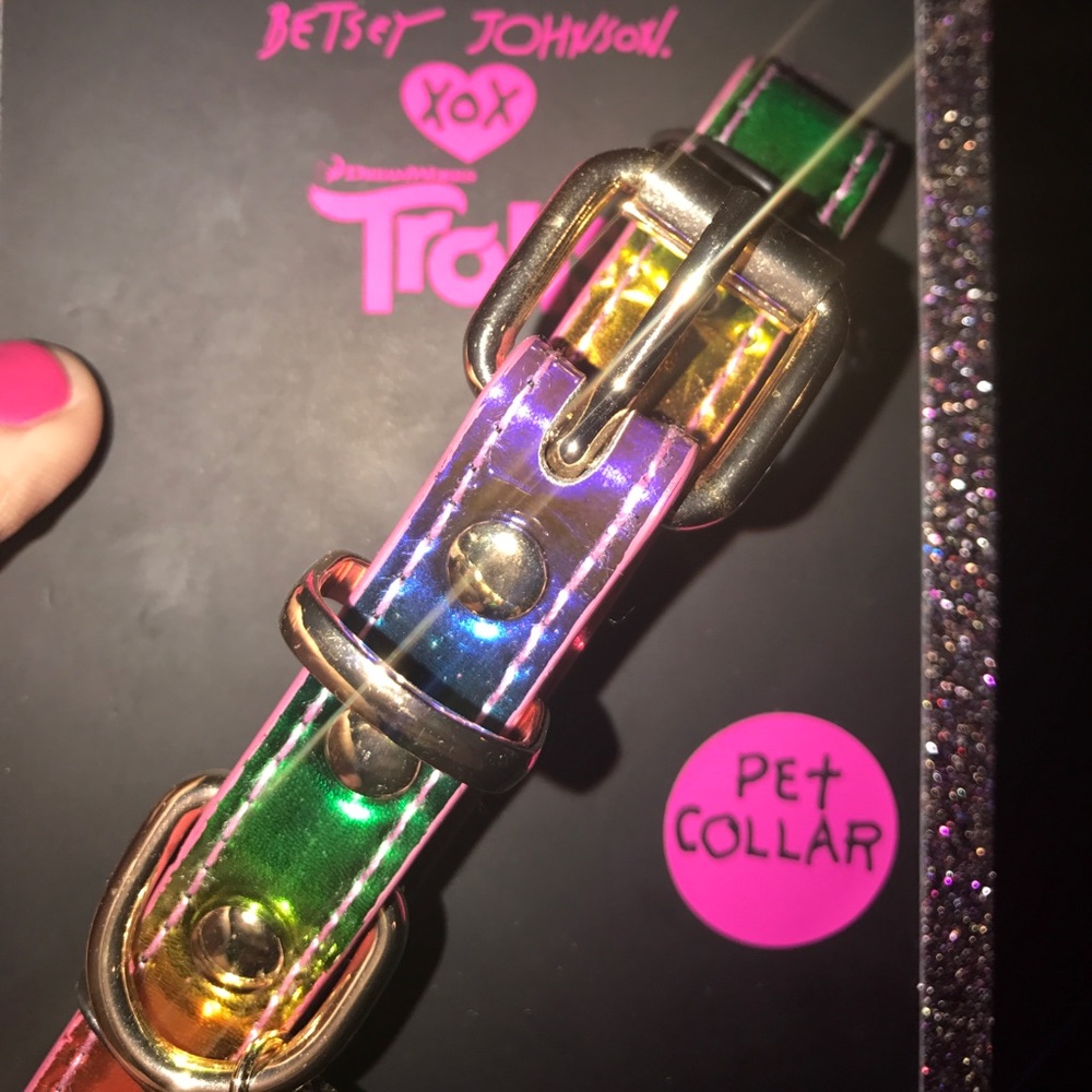 Betsey Johnson leash and collar, and earrings set!