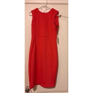 Calvin Klein dress 👗NWT