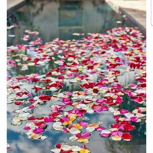 Meet your Posher, Kesha