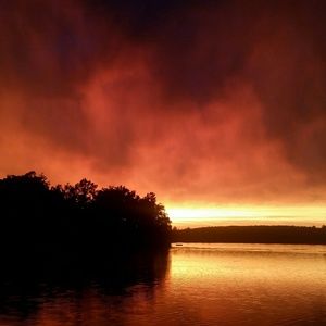 Meet your Posher, Colin