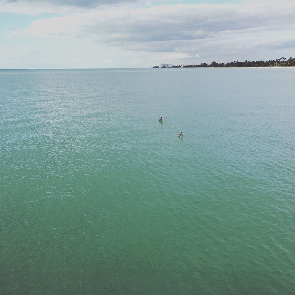 Meet your Posher, Van