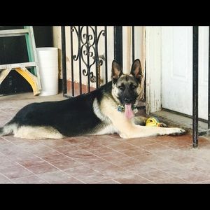 Meet your Posher, Liliana