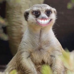 Meet your Posher, Mariah