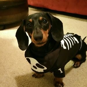 Meet your Posher, Josh