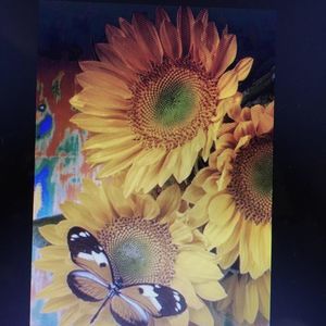 Meet your Posher, Gary