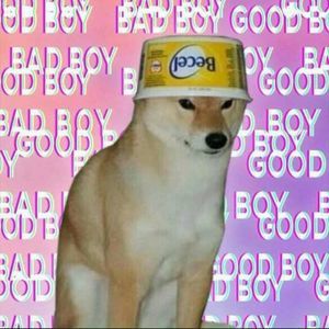 Meet your Posher, Jesus