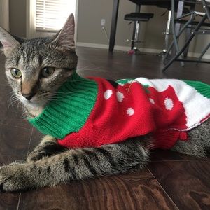 Meet your Posher, Henry