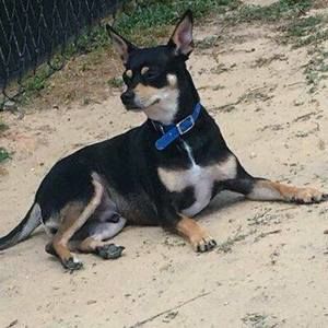 Meet your Posher, Randee