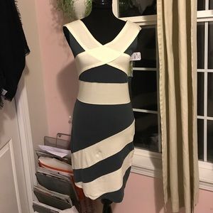 Synergy sleeveless dress