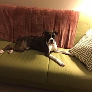 Meet your Posher, Hannah