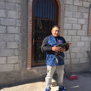 Meet your Posher, Rudy