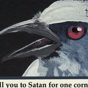 Meet your Posher, Caroline