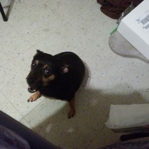 Meet your Posher, Seth