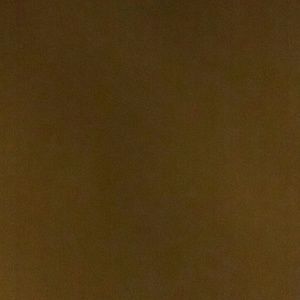 Meet your Posher, Lacy