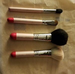 4 sigma travel size brushes