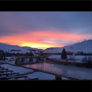 Meet your Posher, Elsa