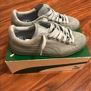Baby blue pumas