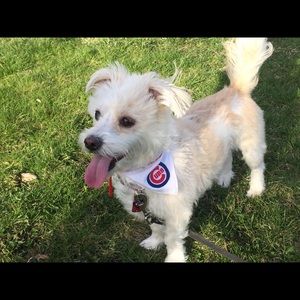 Meet your Posher, Jackie