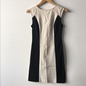 Stretchy Color Block Bodycon Dress