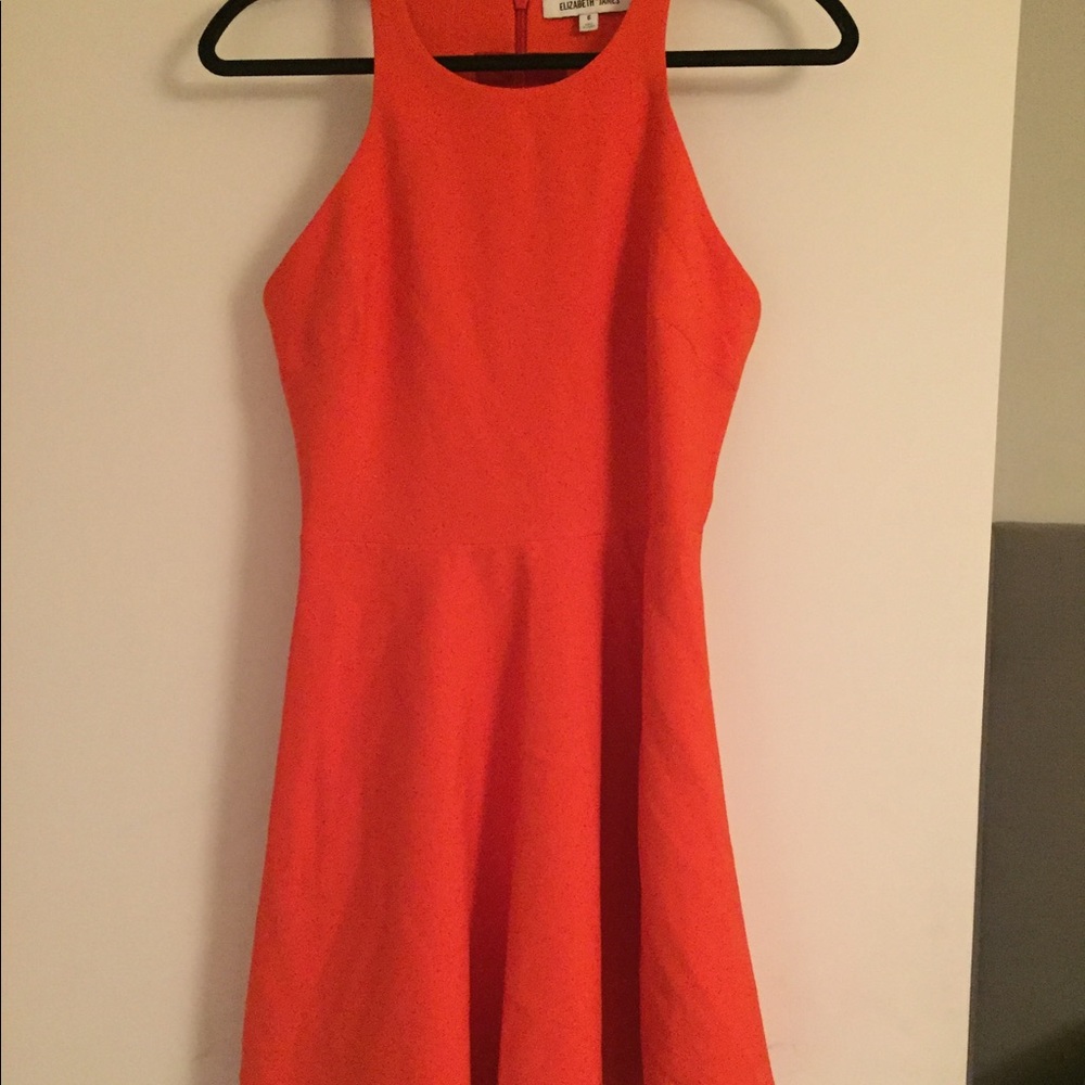 Elizabeth and James Skater Dress