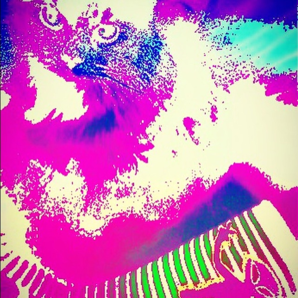 Meet your Posher, Hallie