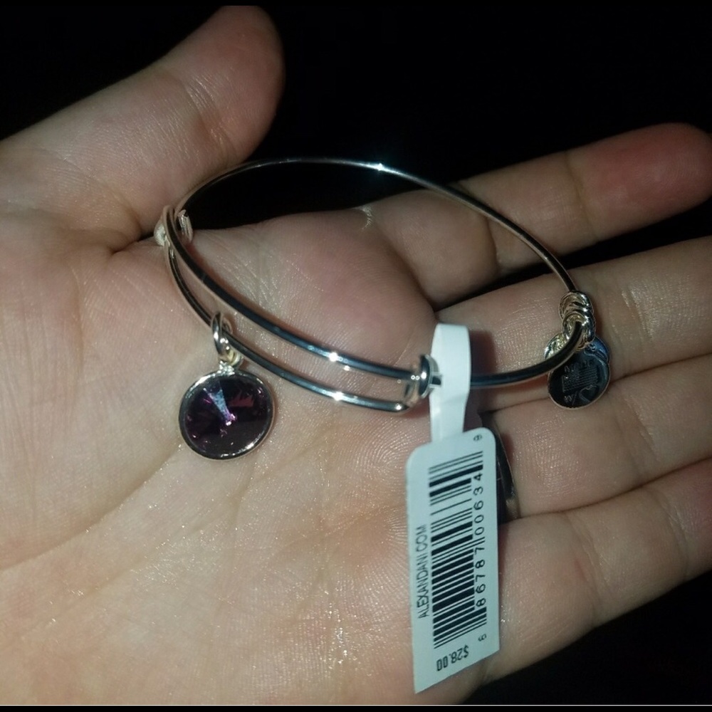 Alex and Ani silver February birthstone bracelet