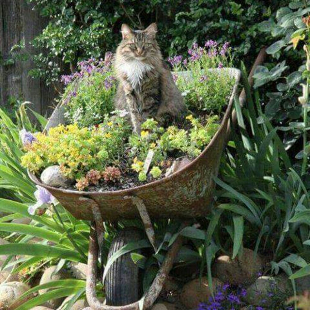 Meet your Posher, Nancy