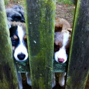 Meet your Posher, Christine