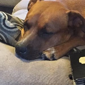 Meet your Posher, Bryen