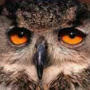 Meet your Posher, Przemyslaw