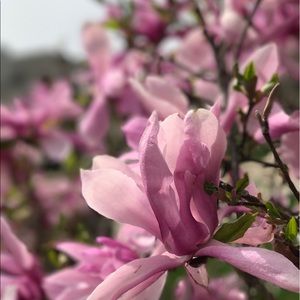 Meet your Posher, Erick