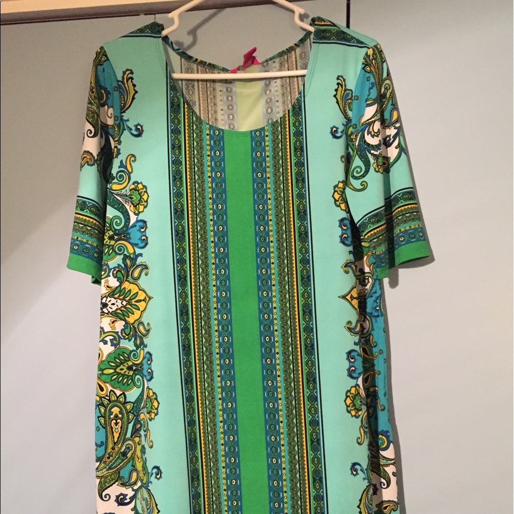 Adorable Sunny Leigh dress or tunic