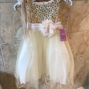 Flower Girl dress with Crown