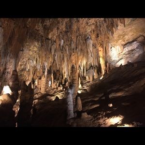 Meet your Posher, Qing